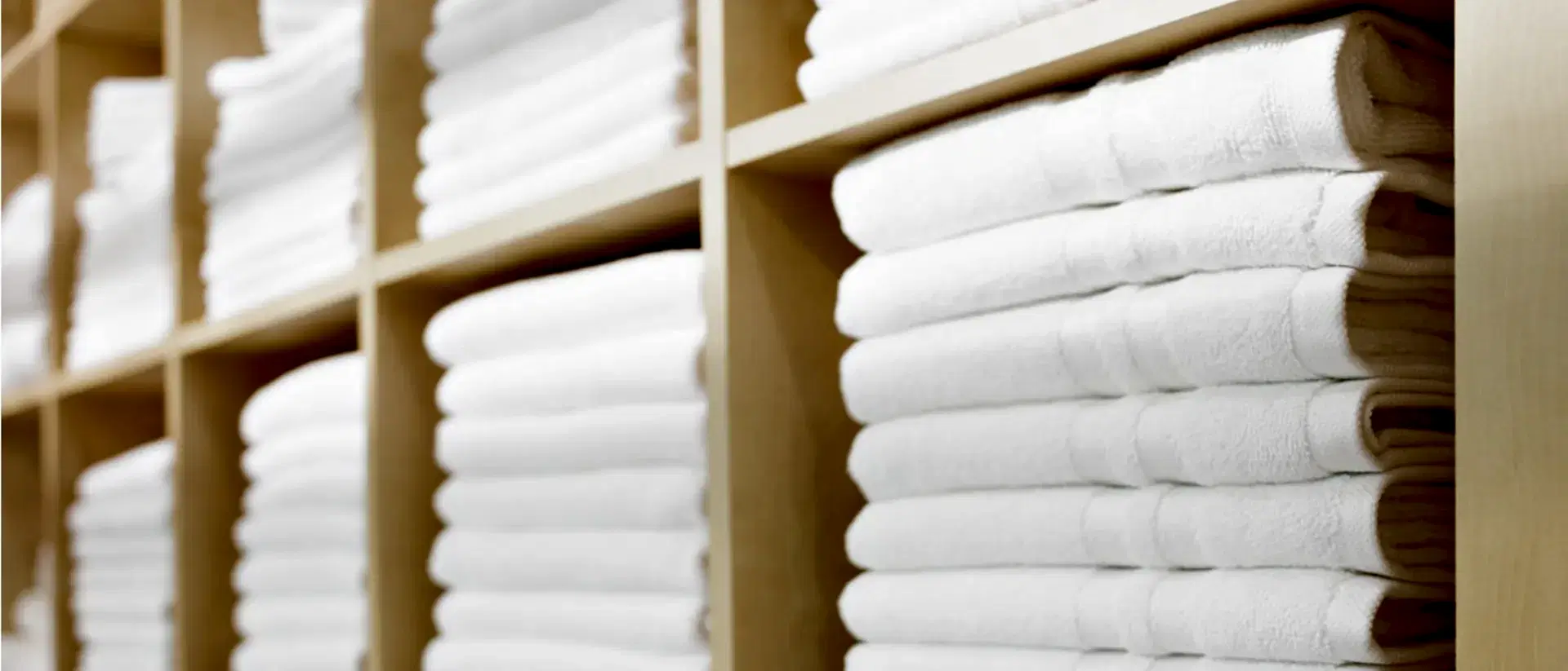 Commercial Laundry